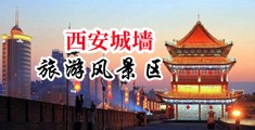 老骚逼想操逼中国陕西-西安城墙旅游风景区